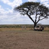  The Serengeti, TZ